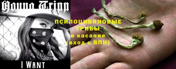 прущий лед Алзамай
